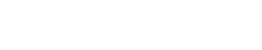 Veleta Capital